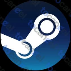 Steam