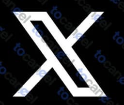 X (Twitter)